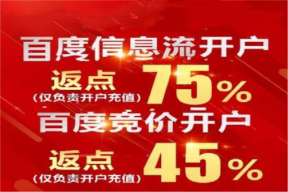 搜索引擎营销（SEM）公司某某的客户成功故事