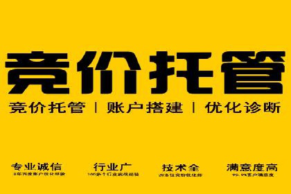 SEM运营推广助力行业领导地位